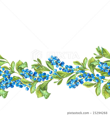 Botanical Seamless Border with Blueberries. Botanical Seamless Border with Blueberries. 15294268