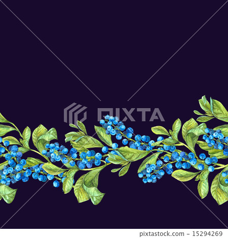 Botanical Seamless Border with Blueberries. Botanical Seamless Border with Blueberries. 15294269