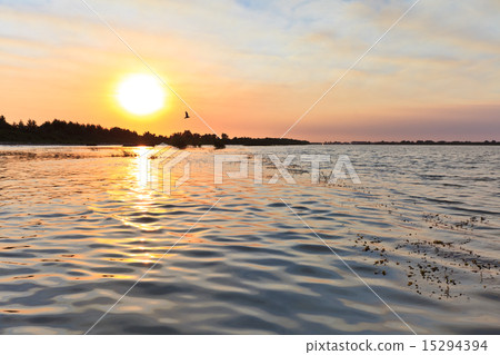 sunrise in the Danube Delta sunrise in the Danube Delta 15294394