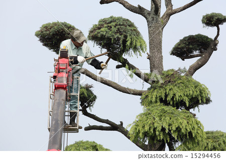 Pruning gardener 15294456