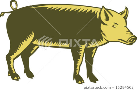 Tamworth Pig Side Woodcut 15294502