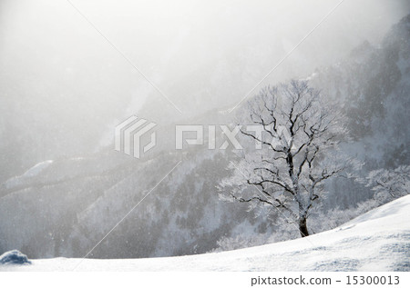 White world White world 15300013