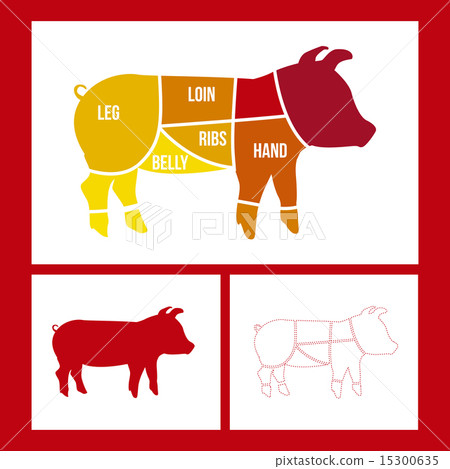 pork cuts over red background vector illustration 15300635