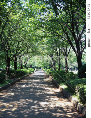 Koganei Park Koganei Park 15301213