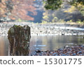 River and tree 15301775