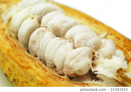 Cacao pulp 1 15301915