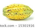 Cacao Pod 1 15301916