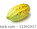 Cacao Pod 2 15301917