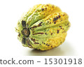 Cacao Pod 3 15301918