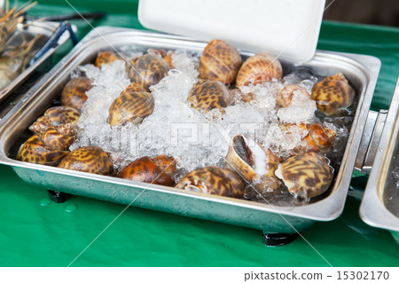 snails or seafood on ice at asian street market snails or seafood on ice at asian street market 15302170