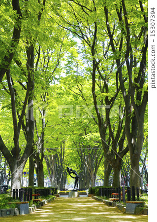 Zeki Namiki Sendai City Jozenji Temple 15307394