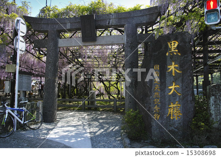 Kuroki Ootoh Festival 15308698