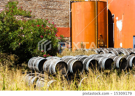 casks in front of wine cellar 15309179