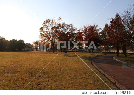  公園 15309216