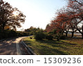  公園 15309236