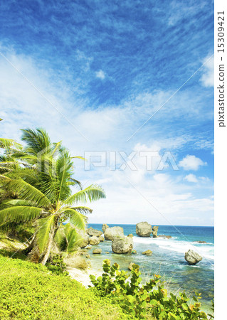 Bathsheba, East coast of Barbados, Caribbean 15309421