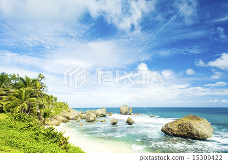 Bathsheba, East coast of Barbados, Caribbean 15309422