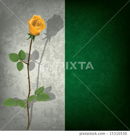 abstract grunge background with rose 15310530