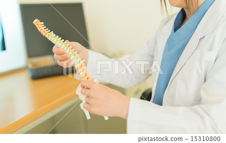 脊柱 脊柱 15310800