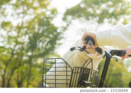 New green season 15310849