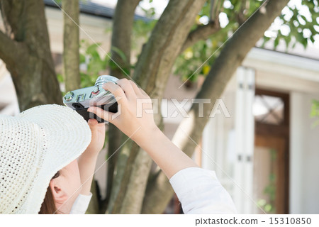 一位女士拿著相機在花園裡拍照。 一位女士拿著相機在花園裡拍照。 15310850