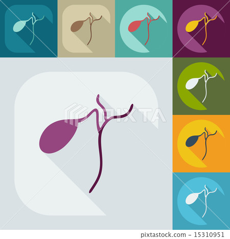 Flat modern design with shadow icons spleen Flat modern design with shadow icons spleen 15310951