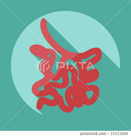 Flat modern design with shadow icons small intestine Flat modern design with shadow icons small intestine 15311006