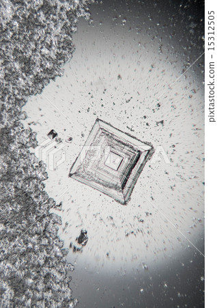 Crystal of salt (micrograph) 15312505