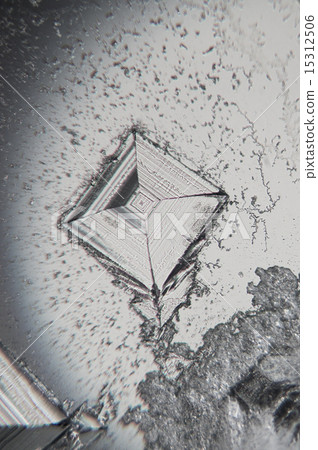 Crystal of salt (micrograph) 15312506