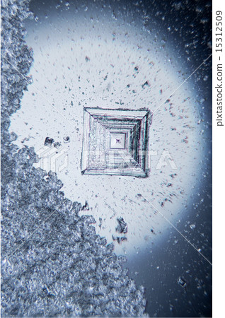 Crystal of salt (micrograph) 15312509