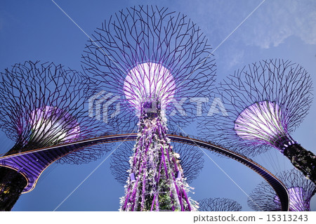 Night view of Singapore 15313243