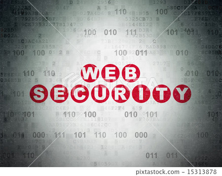 Web design concept: Web Security on Digital Paper background 15313878