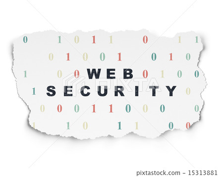 Web development concept: Web Security on Torn Paper background Web development concept: Web Security on Torn Paper background 15313881