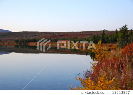 Denali National Park and Preserve 15313897