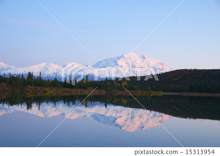 德納利國家公園和自然保護區 15313954