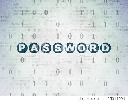 Privacy concept: Password on Digital Paper background 15313994