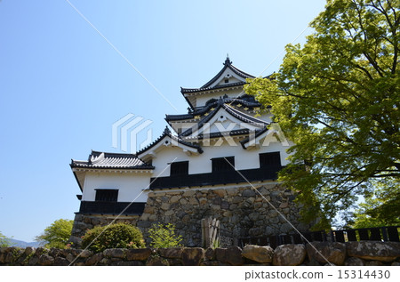 西野丸的彥根城 15314430