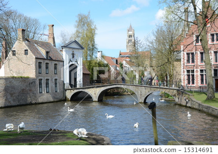 Landscape of Bruges 15314691