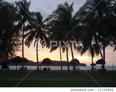 Sunset on the beach 15314868