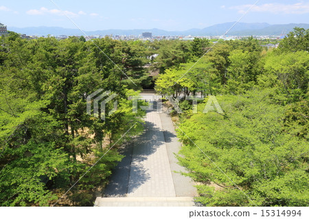 Inside the precincts of the fresh green seen from Kyoto Nanzenji Sanmon 15314994