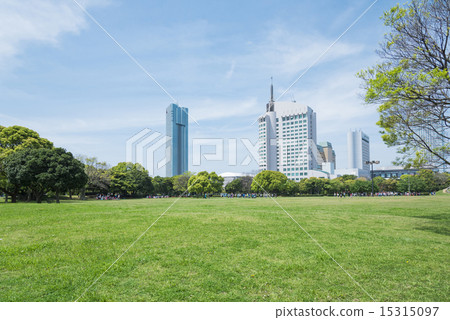 A large park where a skyscraper can be seen 15315097