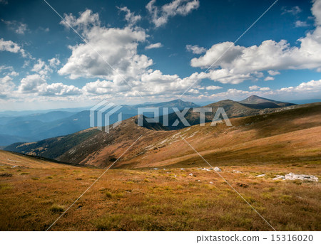 summer landscape. 15316020