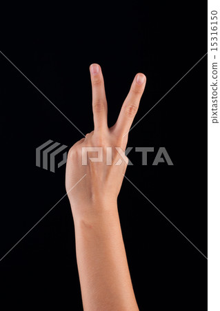 woman hand woman hand 15316150