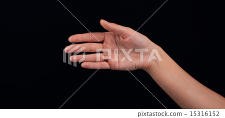 woman hand woman hand 15316152