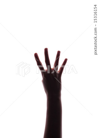 woman hand woman hand 15316154