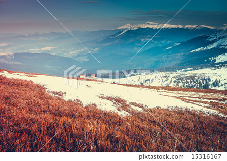 WInter Landscape 15316167