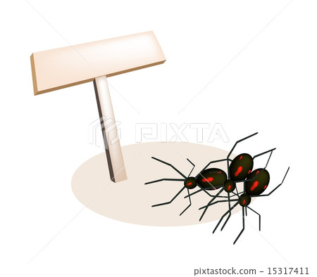 Illustration of Evil Spiders and Wooden Placard 15317411