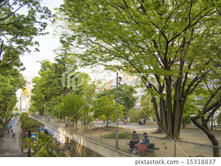 Miyashita Park near Shibuya station (Shibuya-ku, Tokyo) 15318837