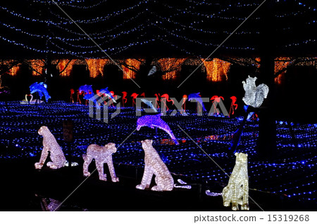illumination 15319268