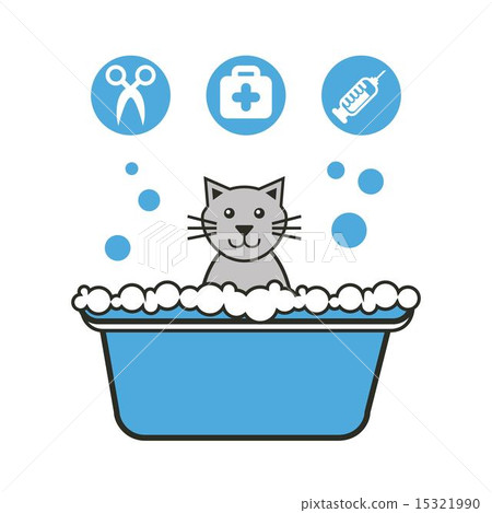 Pet design over gray background vector illustration 15321990